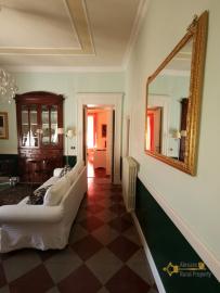 Elegant and completely restored apartment with terrace in historic palazzo. Img15