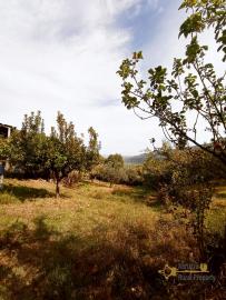 Perfect condition country house with land and panoramic view  for sale. Italy | Abruzzo | Roccascalegna. € 80.000 Ref.: RO1596 photo 11