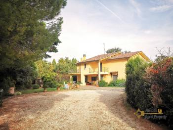 Beautiful five bedroom villa with garden, land, and olive grove, Montenero di Bisaccia Img1