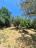 Perfect condition four-bedroom, detached town house with garage and land. Casalanguida. - preview 30