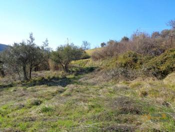 Stone house to restore in countryside location with 2.000 sqm of land. Italy | Abruzzo | Palmoli . € 15.000 Ref.: PA2060 photo 5