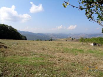 Two country houses with land for sale near Trivento. Molise. Img6
