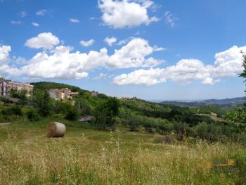 Five bedrooms country house with 5000 sqm of land for sale. Img9