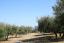 Stunning high-tech villa with heated pool, 4km to the beach. - preview 20