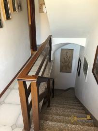 Semi-detached country house of 300 sqm, garden with olive grove. Img31