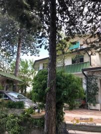 Semi-detached country house of 300 sqm, garden with olive grove. Img4