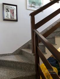 Semi-detached country house of 300 sqm, garden with olive grove. Img30