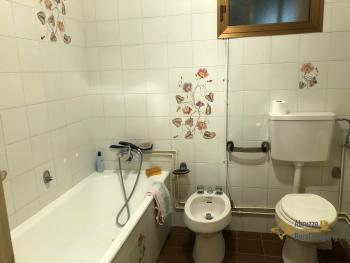 Semi-detached country house of 300 sqm, garden with olive grove. Img23