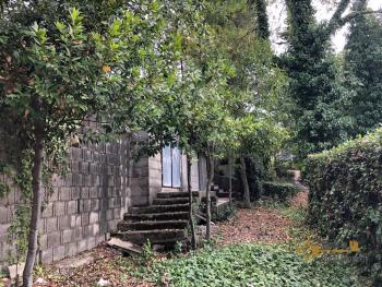 Semi-detached country house of 300 sqm, garden with olive grove. Img12