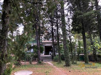 Semi-detached country house of 300 sqm, garden with olive grove. Img1