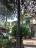Semi-detached country house of 300 sqm, garden with olive grove. - preview 4