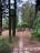 Semi-detached country house of 300 sqm, garden with olive grove. - preview 2