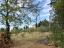 Semi-detached country house of 300 sqm, garden with olive grove. - preview 13