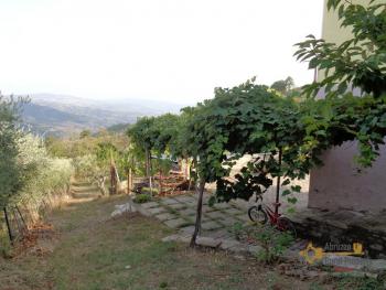 Detached building with two apartments, garden and basement. Img27