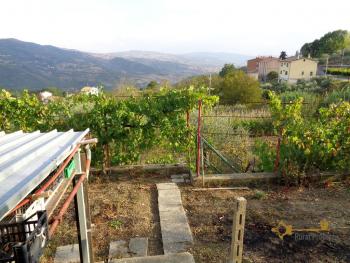 Detached building with two apartments, garden and basement. Img36