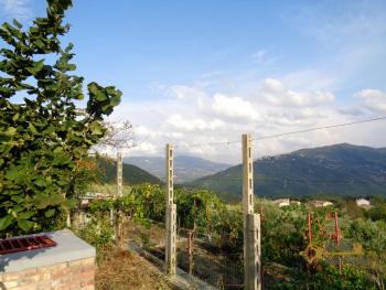 Detached building with two apartments, garden and basement. Img25