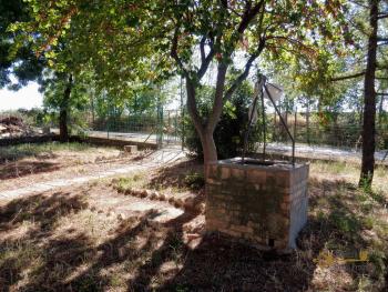 Country house with 1 hectare of land and olive grove, Scerni. Img5