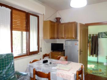 Country house with 1 hectare of land and olive grove, Scerni. Img12