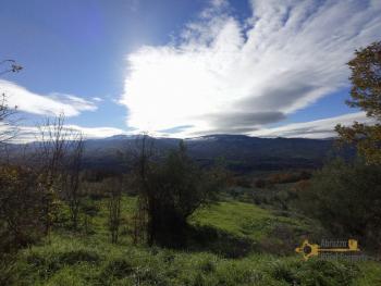 Ruin with land in the outskirt of Guilmi with mountain view for sale. Img34