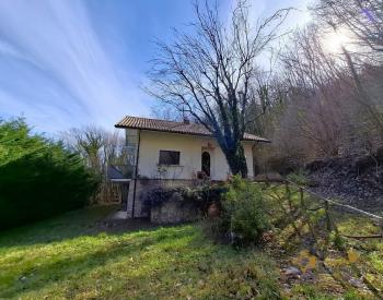 Four-bedroom cottage surrounded by 6000 sqm of land and woodland. Carpineto della Nora