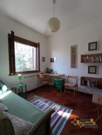Four-bedroom cottage surrounded by 6000 sqm of land and woodland. Carpineto della Nora Img26