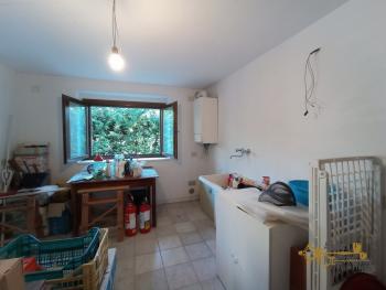 Four-bedroom cottage surrounded by 6000 sqm of land and woodland. Carpineto della Nora Img45