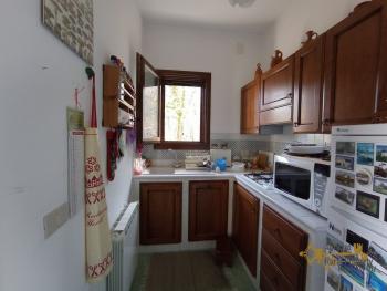 Four-bedroom cottage surrounded by 6000 sqm of land and woodland. Carpineto della Nora Img18