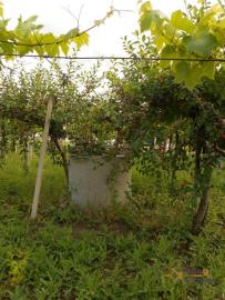 Large country house with 5.000 sqm of land and barn for sale.Abruzzo Img7