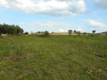 Large country house with 5.000 sqm of land and barn for sale.Abruzzo Img9