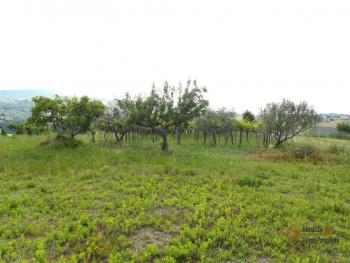 Large country house with 5.000 sqm of land and barn for sale.Abruzzo Img8
