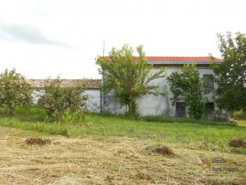 Large country house with 5.000 sqm of land and barn for sale.Abruzzo Img5
