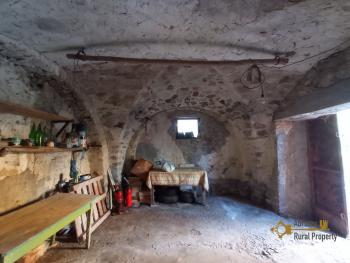 Semidetached country house with land and vineyard for sale. Img28