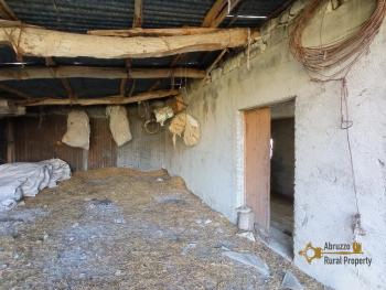 Semidetached country house with land and vineyard for sale. Img41