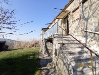 Semidetached country house with land and vineyard for sale. Img2