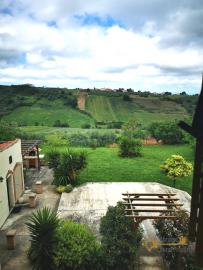 Beautiful villa with garden, land, and olive grove, Scerni Img6