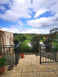 Beautiful villa with garden, land, and olive grove, Scerni Img5