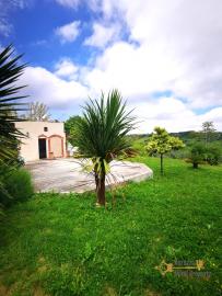 Beautiful villa with garden, land, and olive grove, Scerni Img9