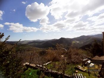 Completely restored town house with small garden and annex for sale. Img24