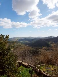Completely restored town house with small garden and annex for sale. Img23