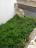 Large town house to be completed for sale in the center of Colletorto. - preview 18