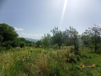 Detached country house with garden, land, garage and two large cellars. Roccaspinalveti Img35