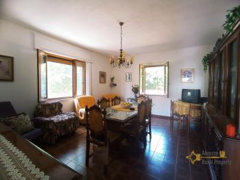Detached country house with garden, land, garage and two large cellars. Roccaspinalveti Img39