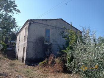Nice country house with land and olive grove.Trivento Img26