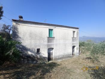 Nice country house with land and olive grove.Trivento Img23