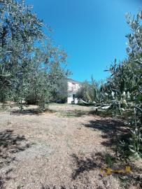 Detached country house with land and garage for sale. Perfect condition. Img43