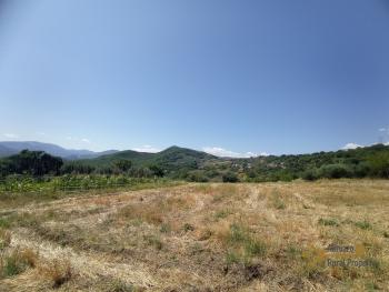 Detached country house with land and garage for sale. Perfect condition. Img42