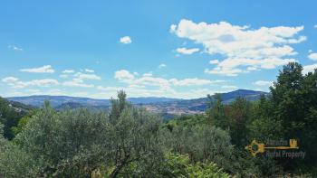 Country house with beautiful panoramic view, surrounded by land with olive grove. Schiavi D'Abruzzo. Img26