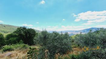 Country house with beautiful panoramic view, surrounded by land with olive grove. Schiavi D'Abruzzo. Img4