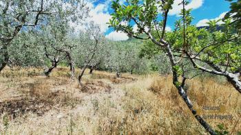 Country house with beautiful panoramic view, surrounded by land with olive grove. Schiavi D'Abruzzo. Img41