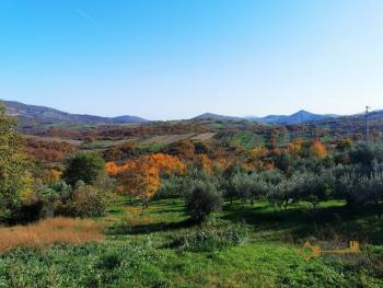 Spacious country house with panoramic terrace and 1500 sqm land in Roccaspinalveti. Img32